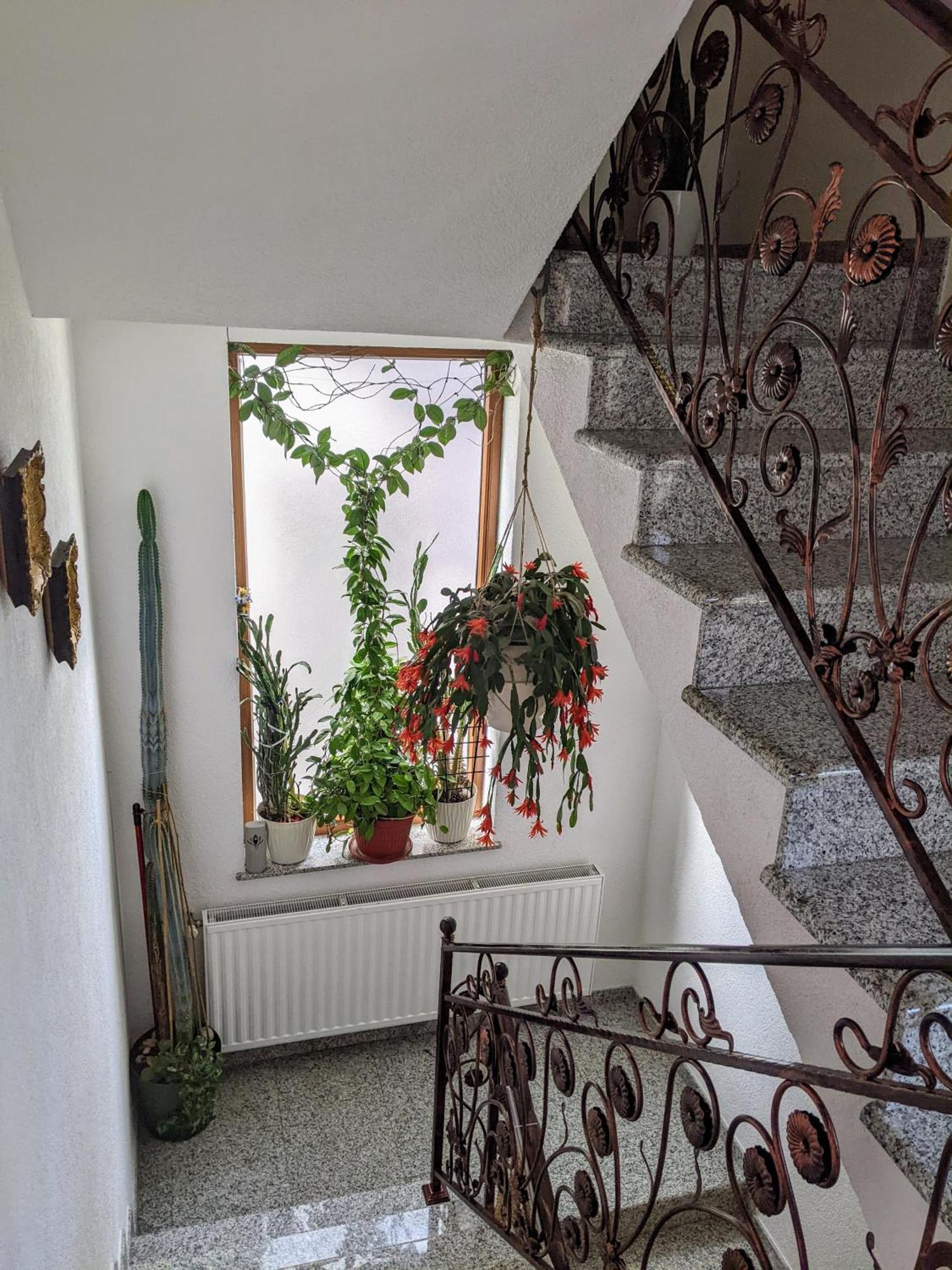 Apartmani Hrastik Bihać 외부 사진
