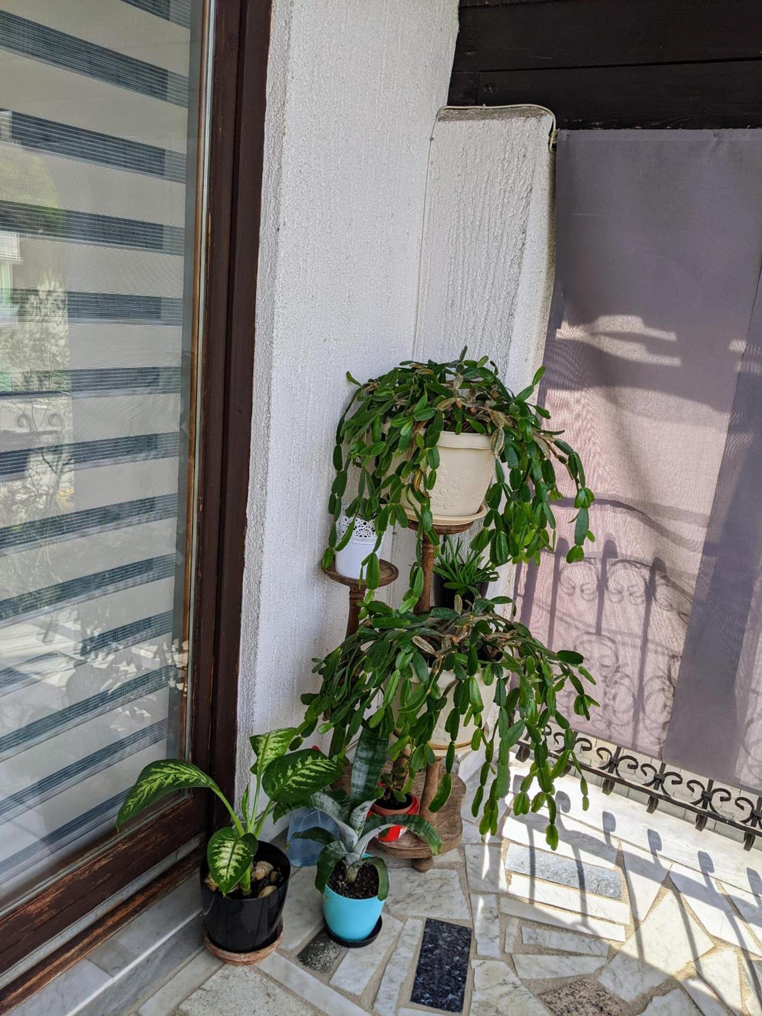 Apartmani Hrastik Bihać 객실 사진